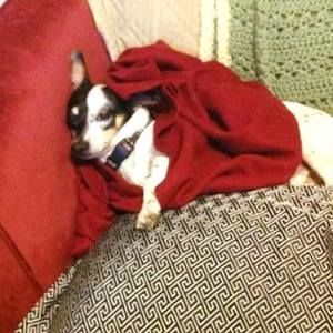 Meet your Posher, Cari